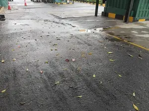 Commercial Land for Rent in Colombo 5 (file Number 255 A)