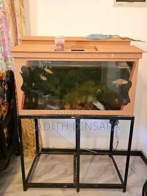 Fish Tank