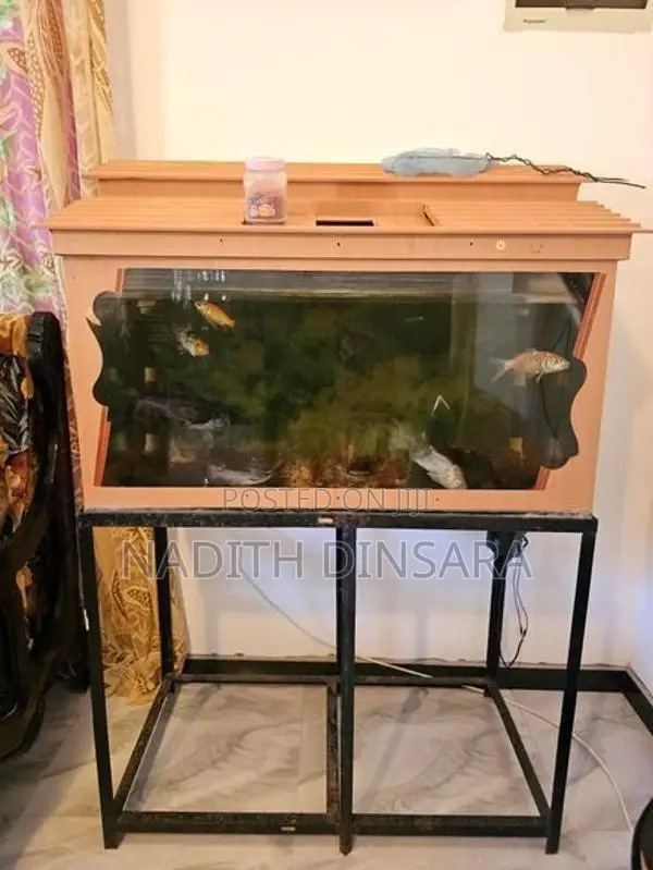 Fish Tank