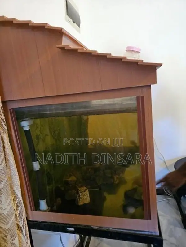 Fish Tank