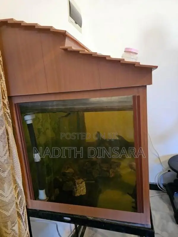 Fish Tank