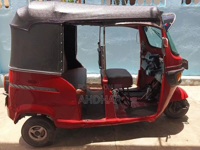 TVS King 2010