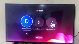 Samsung 55 Inch TV