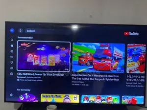 Samsung 55 Inch TV