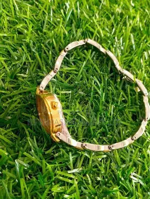Titan Ladies Hand Watch