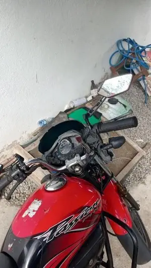 Hero Passion pro 2010