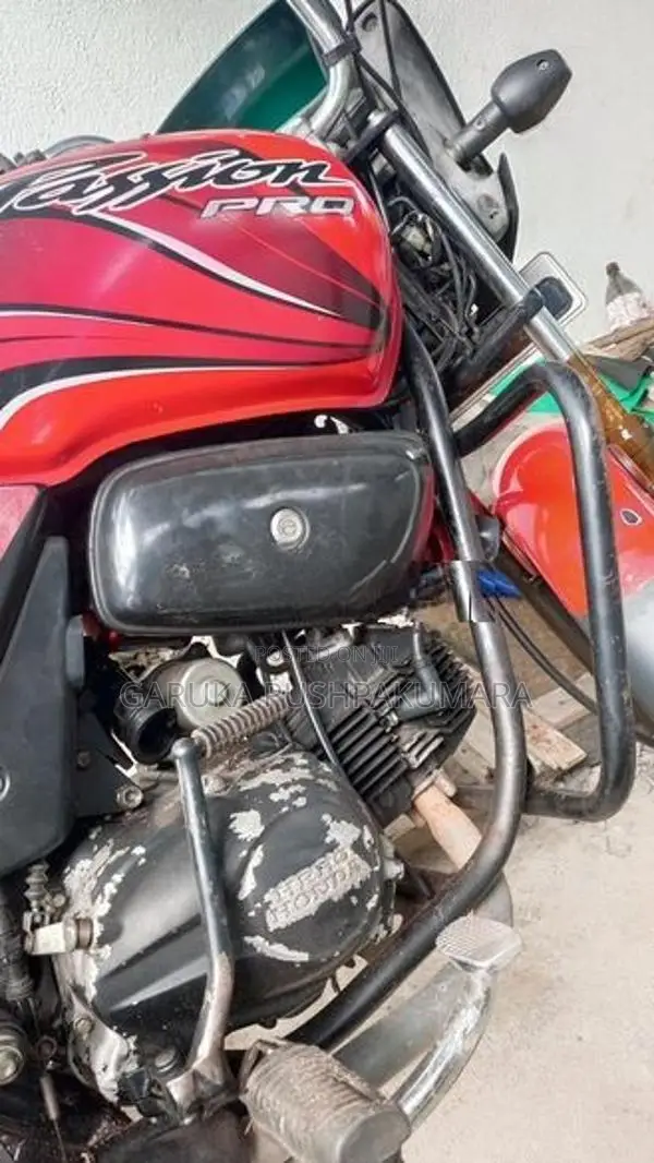 Hero Passion pro 2010
