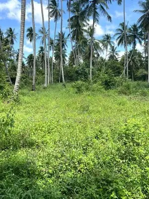 Land for Sale in Kuliyapitiya Town