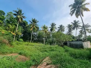 Veyangoda ඉඩමක්