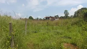 Land for Sale located in Karawaketiye Estate , Galwala Road, Balangoda