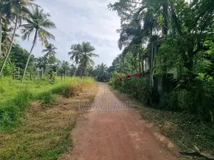 Veyangoda ඉඩමක්