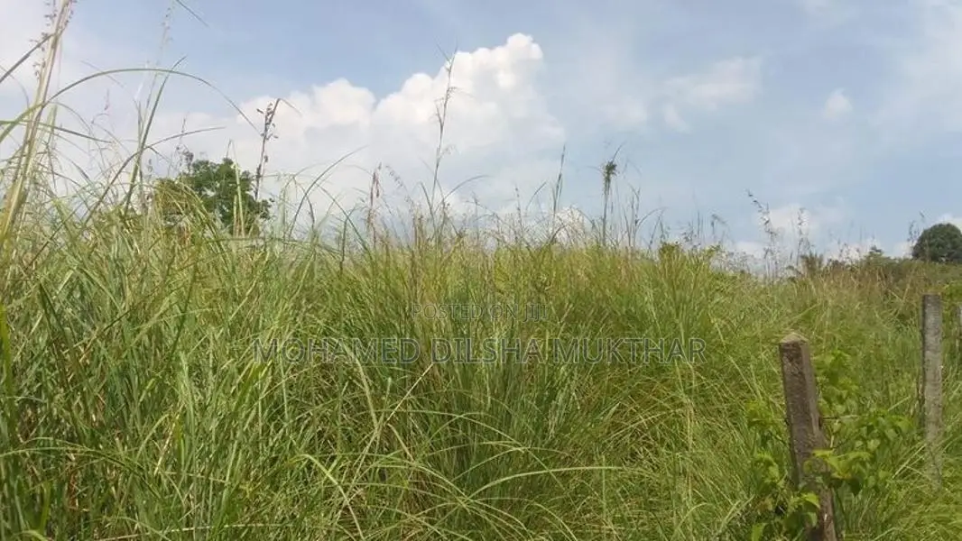 Land for Sale located in Karawaketiye Estate , Galwala Road, Balangoda