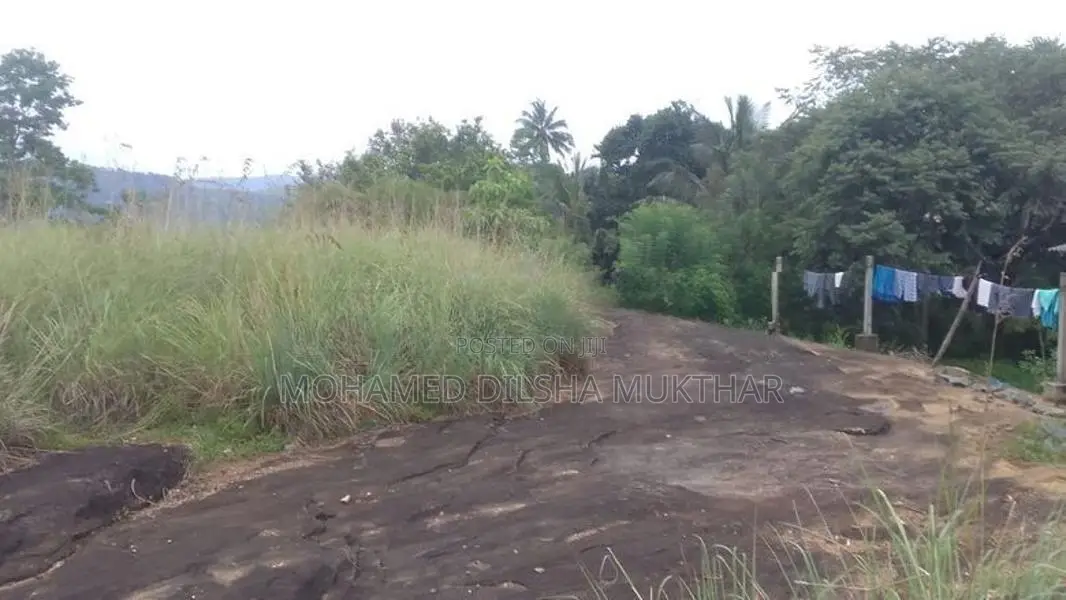 Land for Sale located in Karawaketiye Estate , Galwala Road, Balangoda