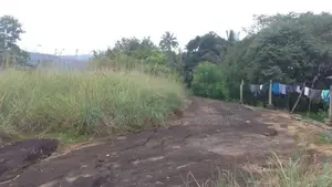 Land for Sale located in Karawaketiye Estate , Galwala Road, Balangoda