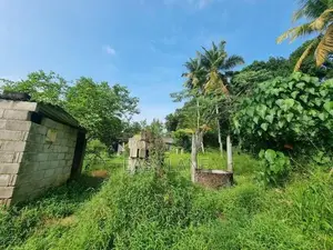 Veyangoda ඉඩමක්