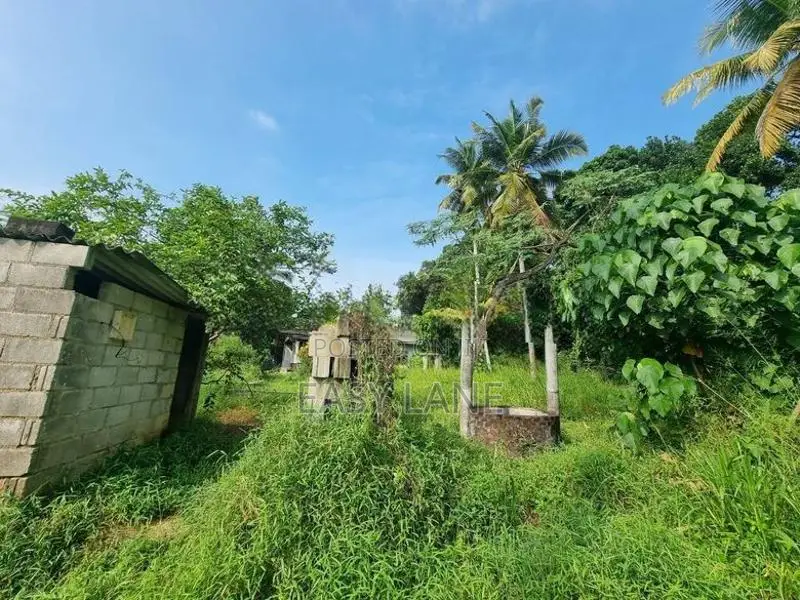 Veyangoda ඉඩමක්