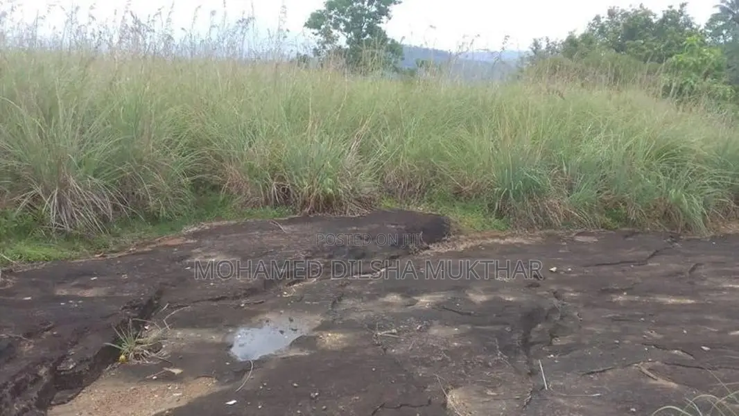 Land for Sale located in Karawaketiye Estate , Galwala Road, Balangoda