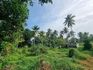 Veyangoda ඉඩමක්