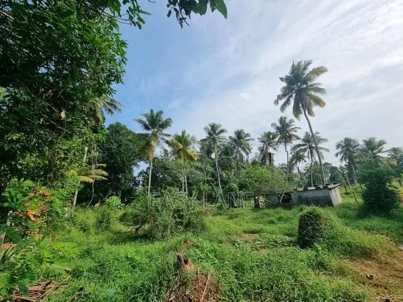 Veyangoda ඉඩමක්