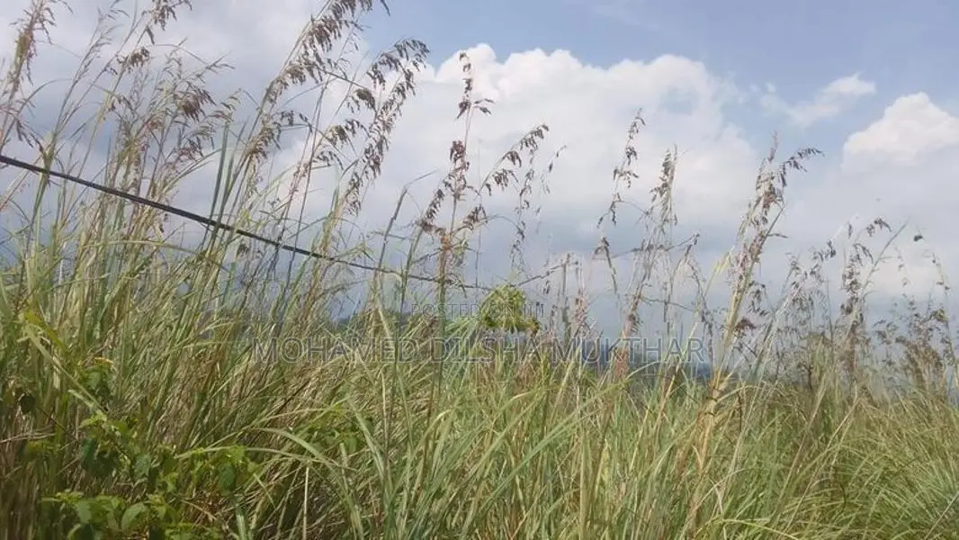 Land for Sale located in Karawaketiye Estate , Galwala Road, Balangoda