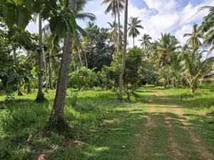 322 Perch Land for Sale Godigamuwa