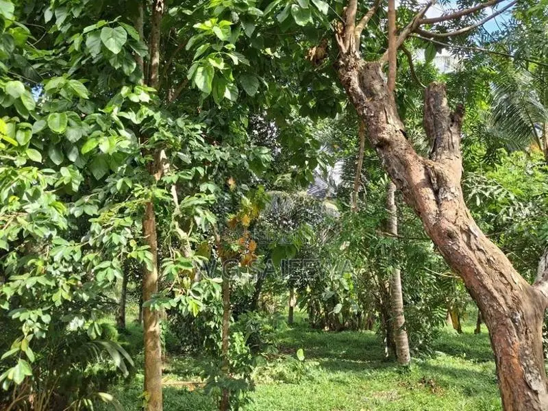 322 Perch Land for Sale Godigamuwa