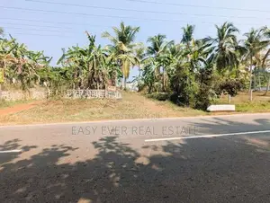 ප්‍රධාන පාරට මුහුණලා ඉඩමක් විකිණීමට කල්එලිය