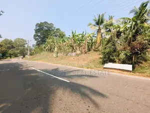 ප්‍රධාන පාරට මුහුණලා ඉඩමක් විකිණීමට කල්එලිය