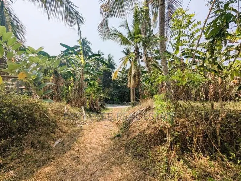 ප්‍රධාන පාරට මුහුණලා ඉඩමක් විකිණීමට කල්එලිය