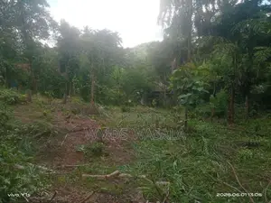 පර්චස් 67.7 ඉඩමක් විකිණීමට වරකාපොළ