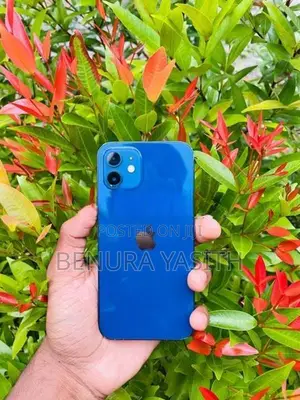 Apple iPhone 12 5G (Used)