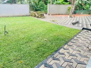 Australian and Malaysian Grass for Sale