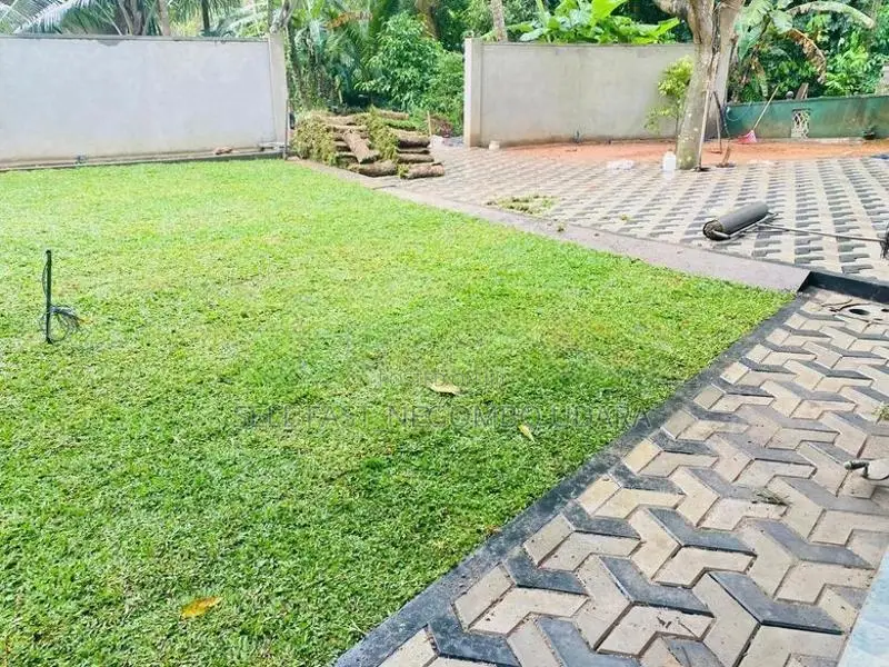 Australian and Malaysian Grass for Sale