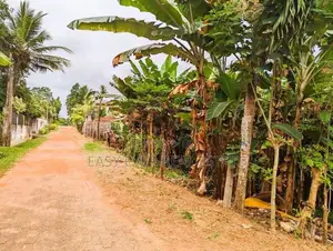 නිට්ටඹුව පින්නගොල්ලෙන් ඉඩමක්