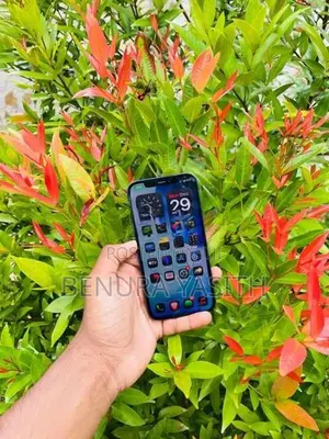 Apple iPhone 12 5G (Used)