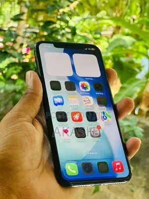 Apple iPhone 11 Pro Max 64Gb (Used)