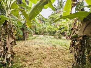 නිට්ටඹුව පින්නගොල්ලෙන් ඉඩමක්