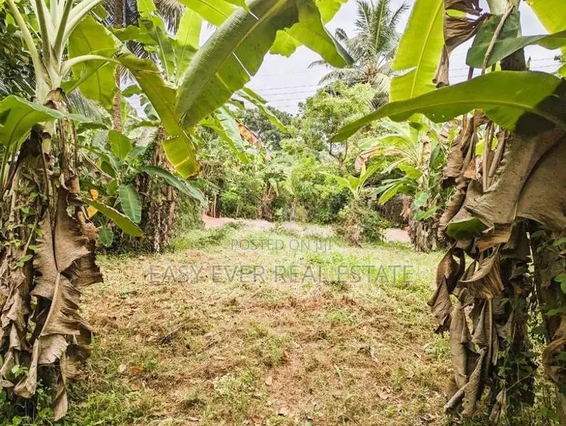 නිට්ටඹුව පින්නගොල්ලෙන් ඉඩමක්