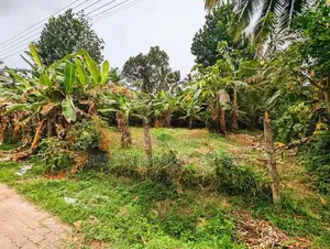 නිට්ටඹුව පින්නගොල්ලෙන් ඉඩමක්