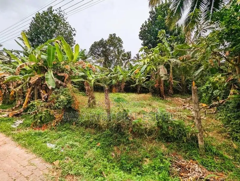 නිට්ටඹුව පින්නගොල්ලෙන් ඉඩමක්