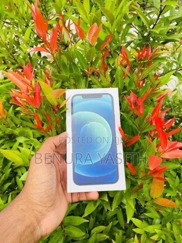 Apple iPhone 12 5G (Used)
