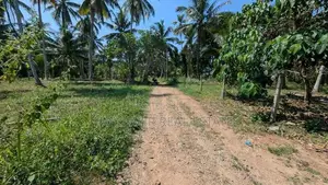 කඩවත වෑබඩින් වටිනා බිම් කොටසක්