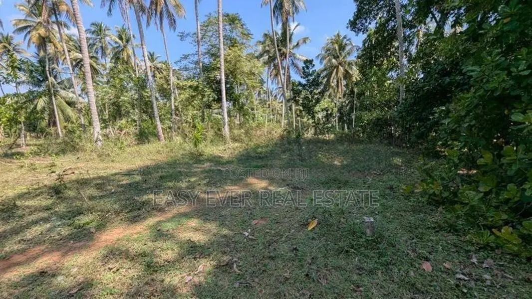 කඩවත වෑබඩින් වටිනා බිම් කොටසක්