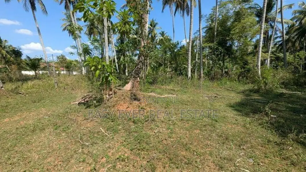 කඩවත වෑබඩින් වටිනා බිම් කොටසක්