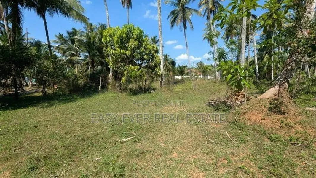කඩවත වෑබඩින් වටිනා බිම් කොටසක්