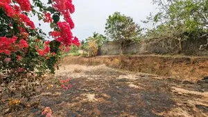 රාගම - වත්තල පාරට බිම් කොටස්
