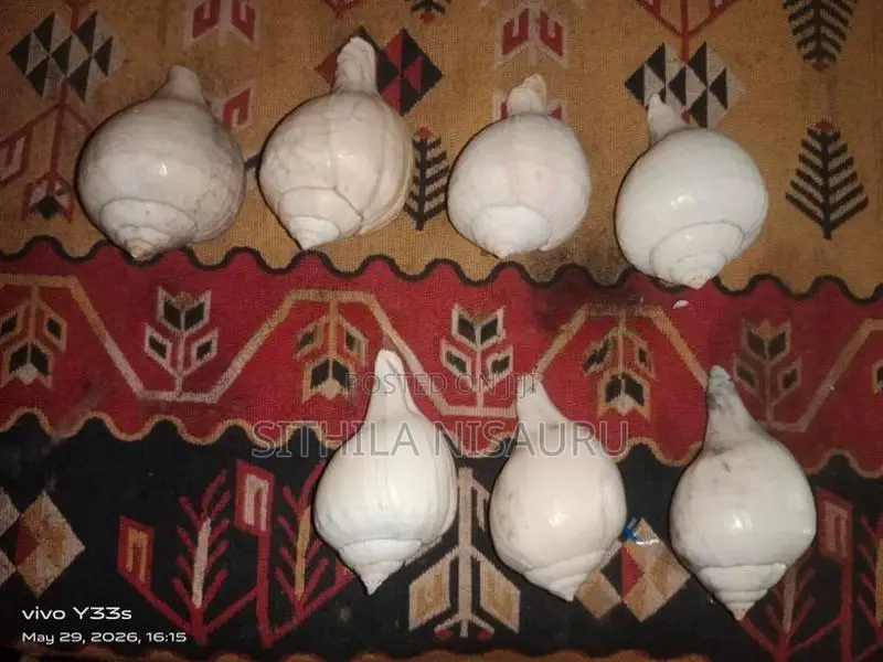 හක්ගෙඩි