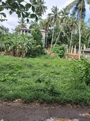Land Sale in Walahanduwa
