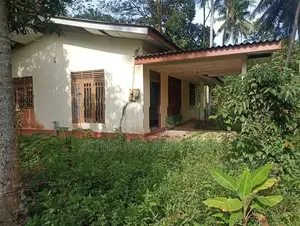 House with 33 Perches Land for Sale – Kalagedihena