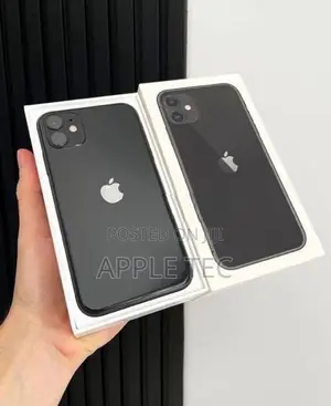 Apple iPhone 11 256GB (Used)